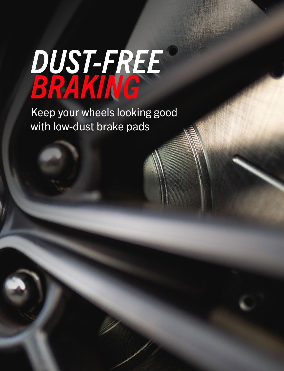 Front Brake Pad & Rotor Kit W96562