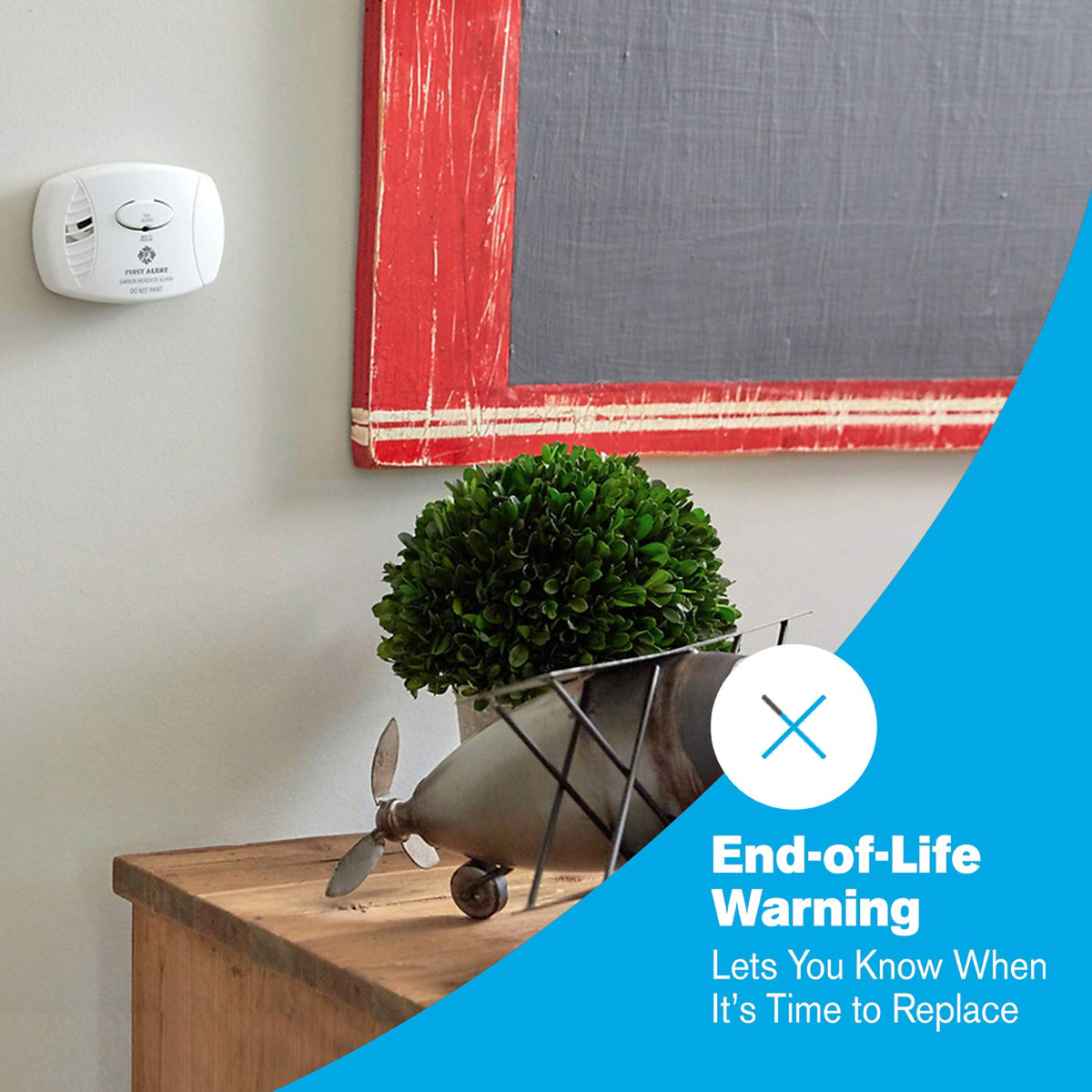 Battery Carbon Monoxide Alarm R974952