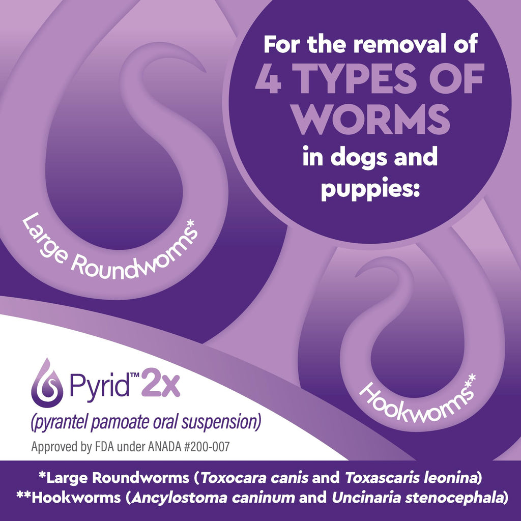 Pyrantel Pamoate Dog Dewormer 16 oz H6862