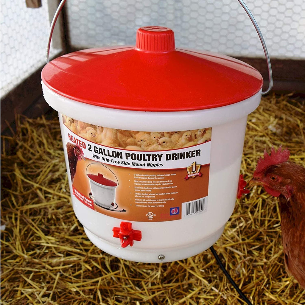 Heated Poultry Waterer Drinker 2-Gal 60W V444939