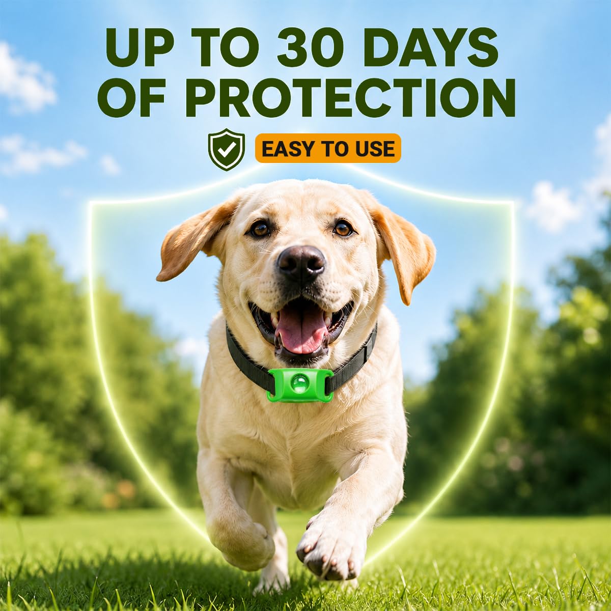 Flea and Tick Prevention Pendant for Dogs with 2 Pendants and 6 Refills Q701
