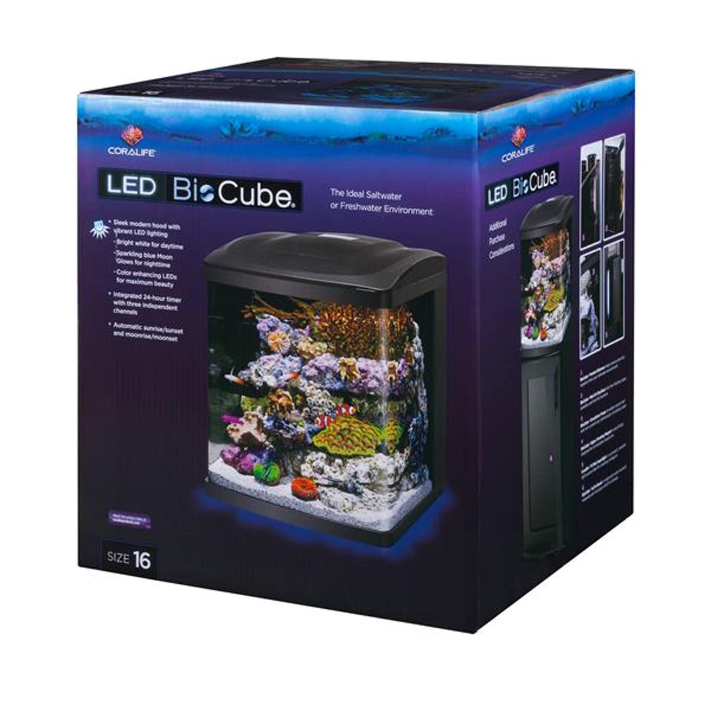 16 Gallon Aquarium Starter Kit I56524