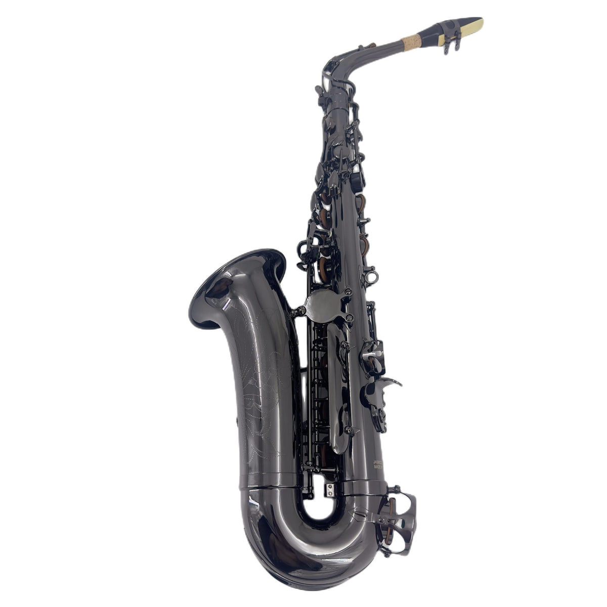 Alto Saxophone E Flat Black F66313