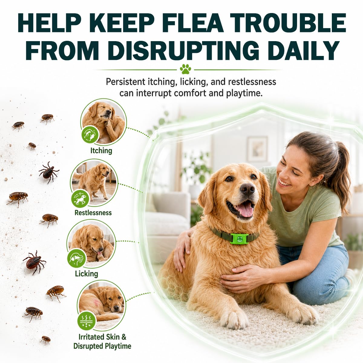 Flea and Tick Prevention Pendant for Dogs with 2 Pendants and 6 Refills Q701