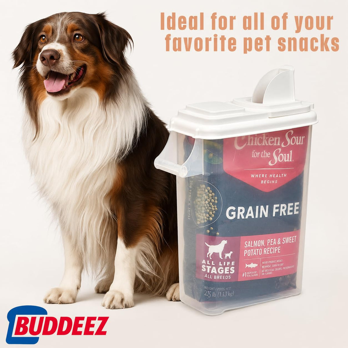 Airtight Pet Food Storage Container 32 Quart with Pour Spout H103657