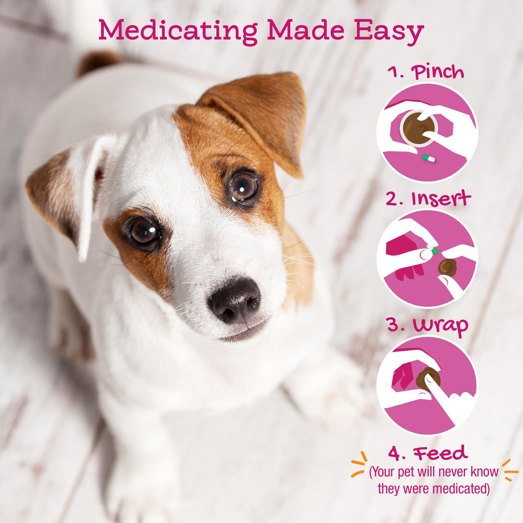 Cheese & Bacon Pill Paste for Dogs 4.2oz Z930