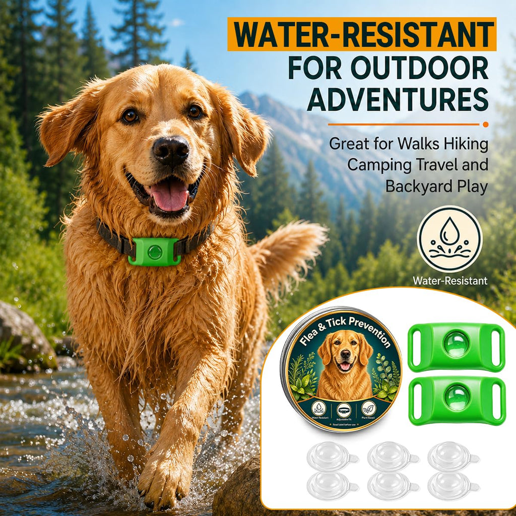 Flea and Tick Prevention Pendant for Dogs with 2 Pendants and 6 Refills Q701