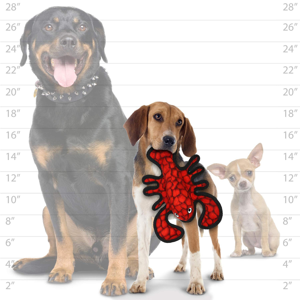 2 Pack Ultra Durable Plush Dog Toy Y702734