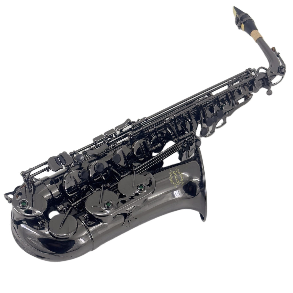 Alto Saxophone E Flat Black F66313