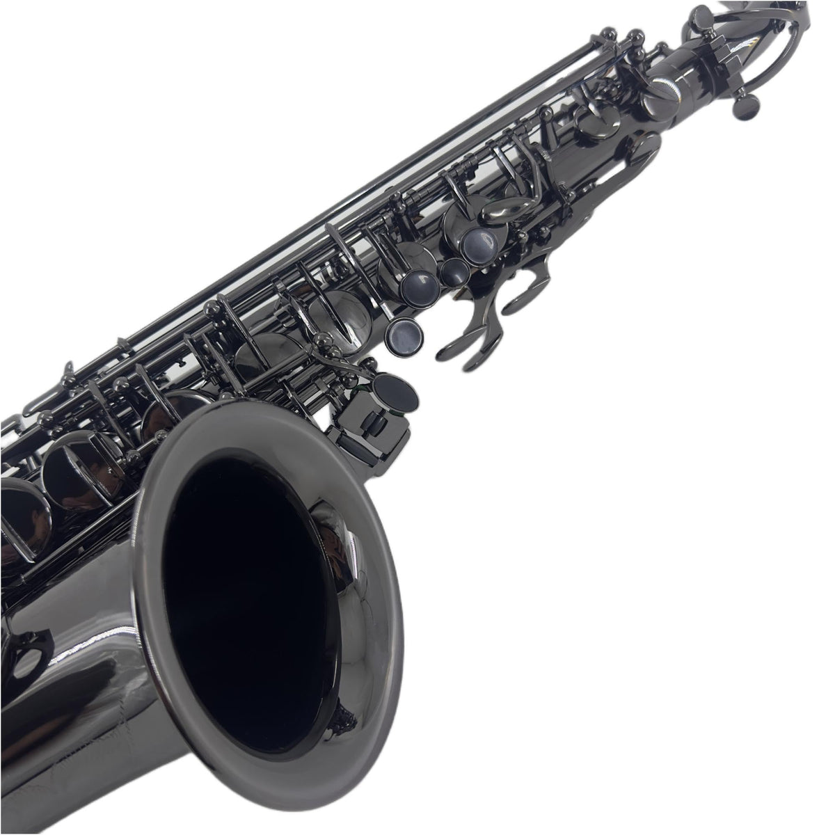 Alto Saxophone E Flat Black F66313