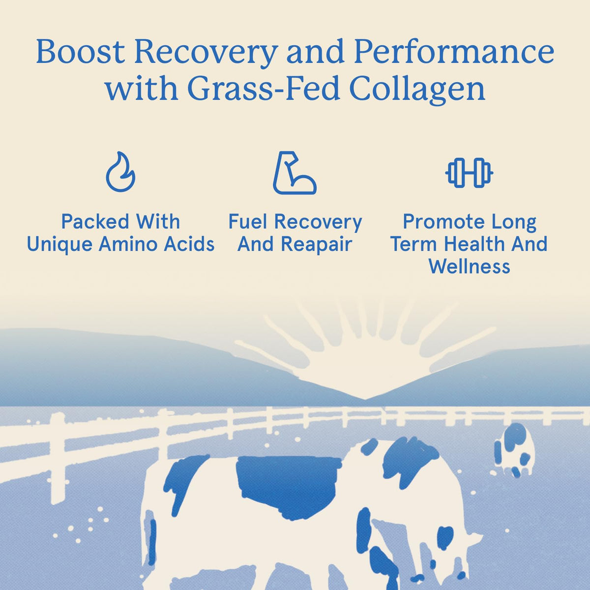 Grass Fed Hydrolyzed Bovine Collagen Peptides Powder U71293