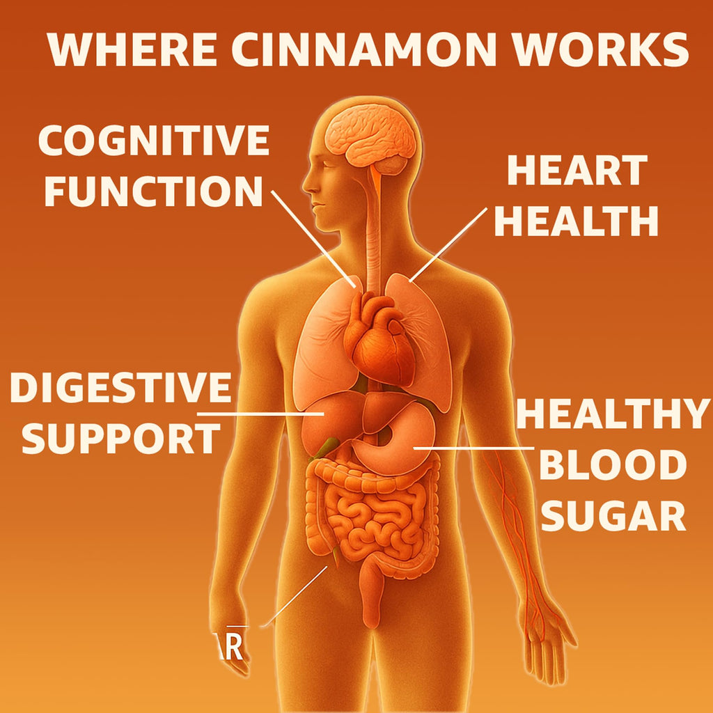 Cinnamon Supplement 1000mg 400 Vegetarian Capsules H7990