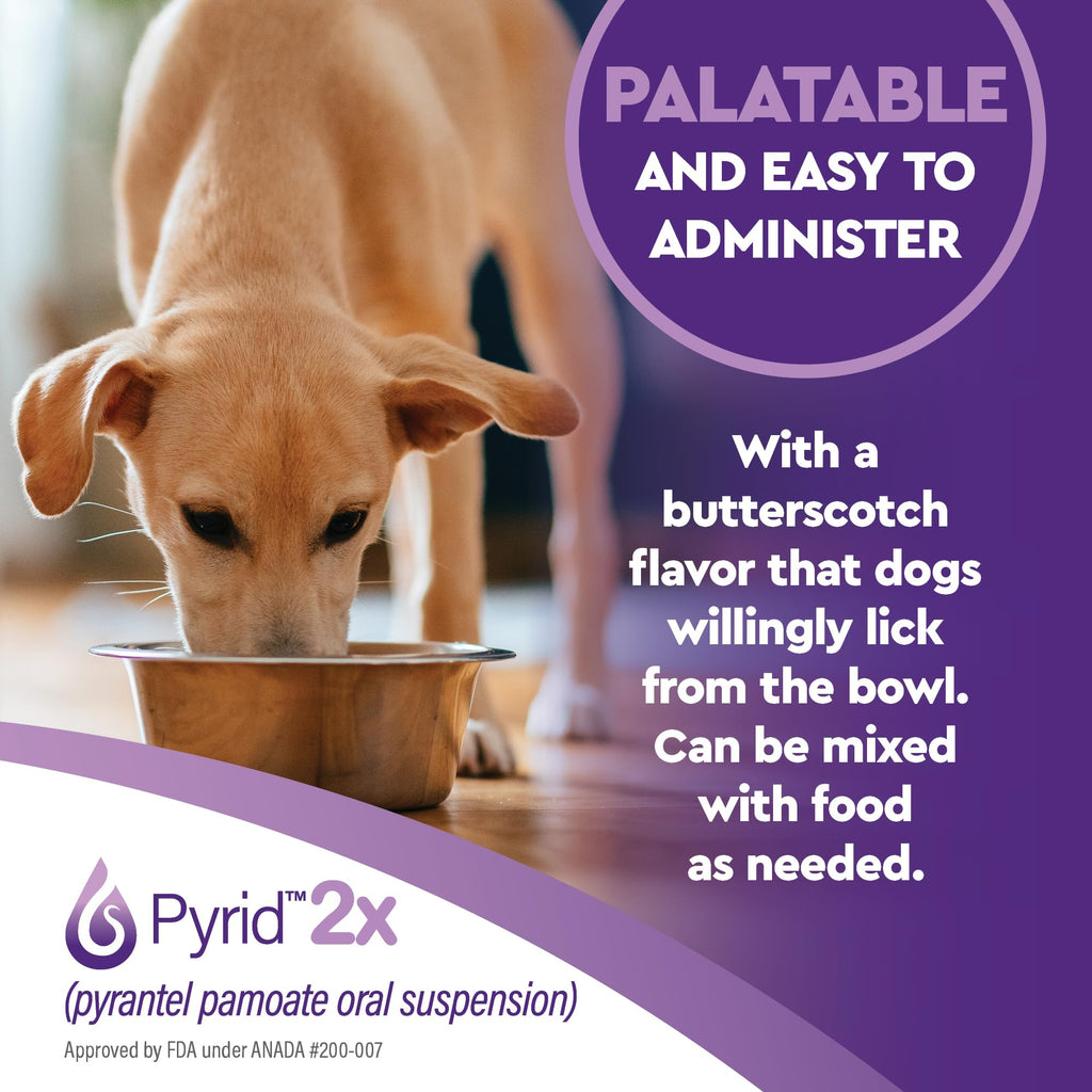 Pyrantel Pamoate Dog Dewormer 16 oz H6862