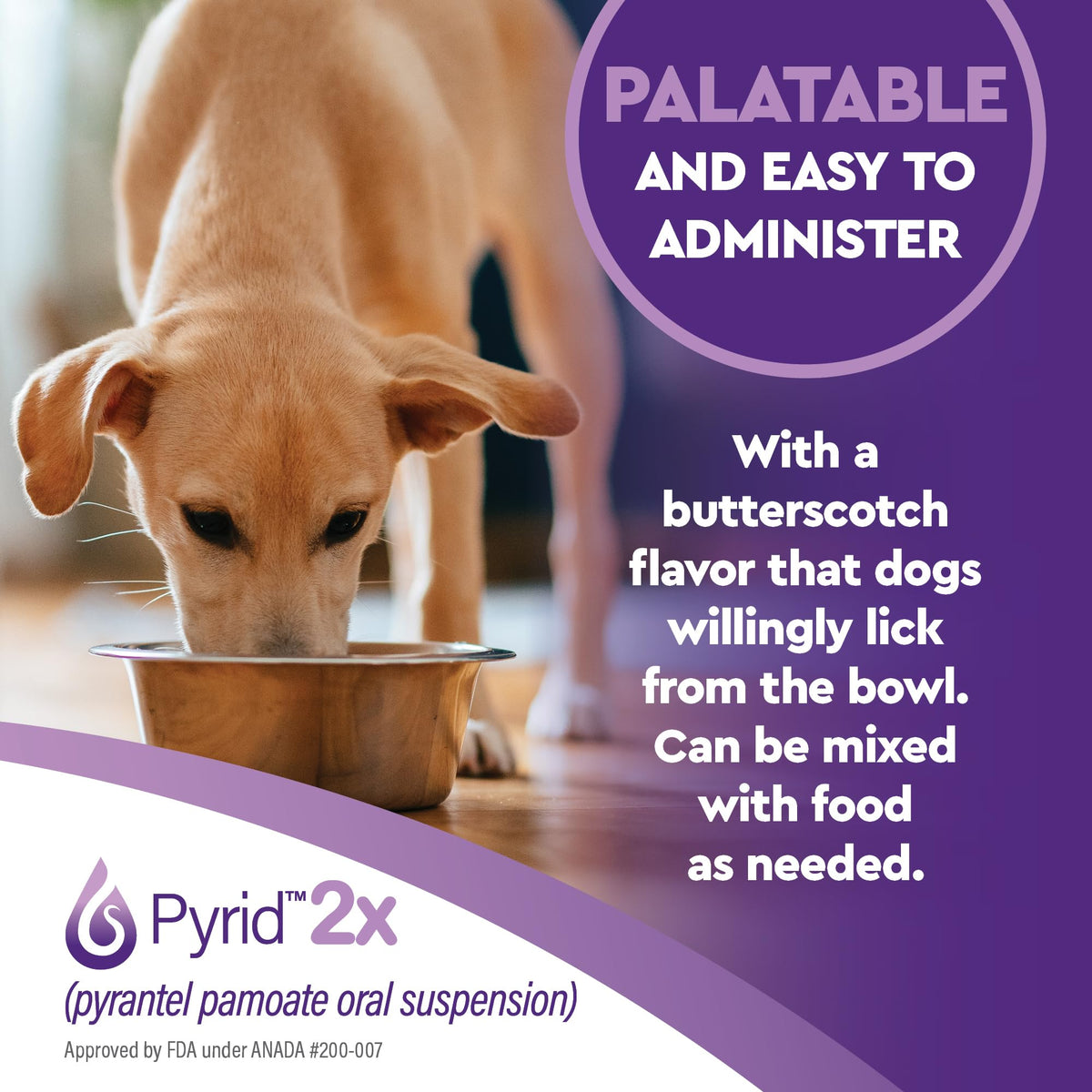 Pyrantel Pamoate Dog Dewormer 16 oz H6862