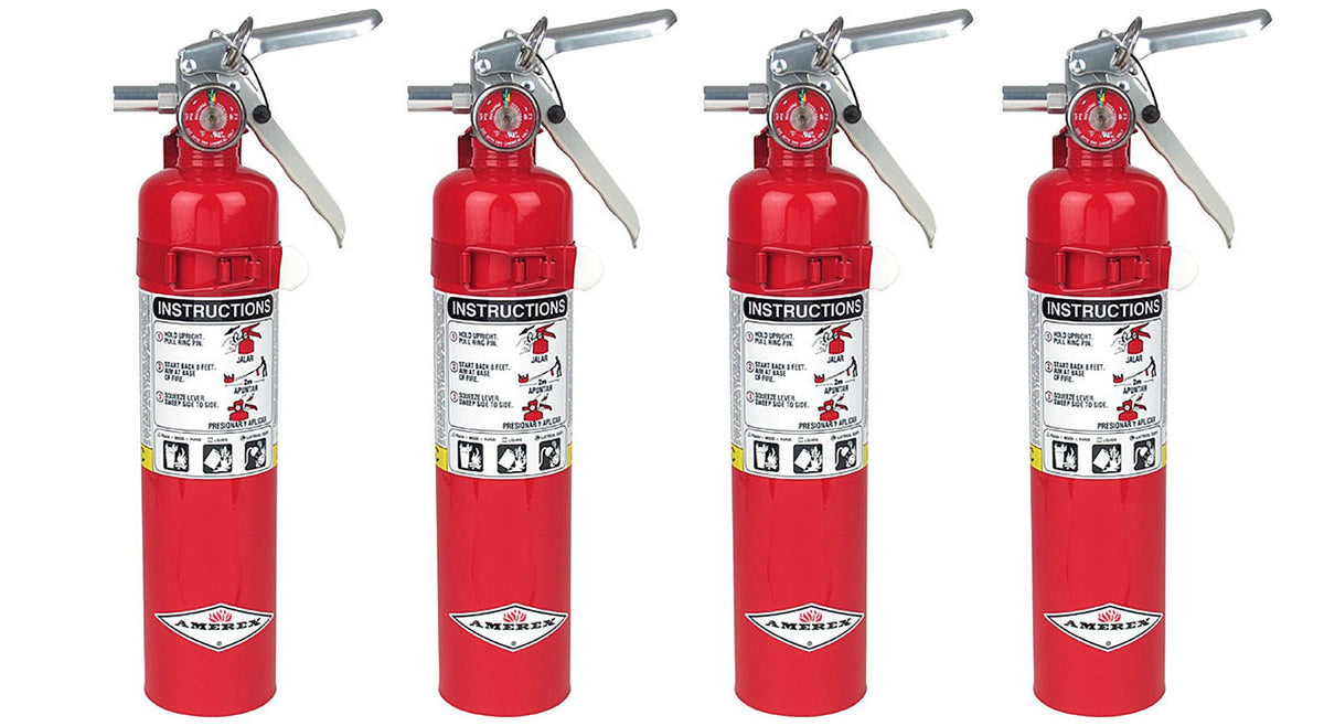 2.5lb ABC Dry Chemical Fire Extinguisher with Wall Bracket T6665