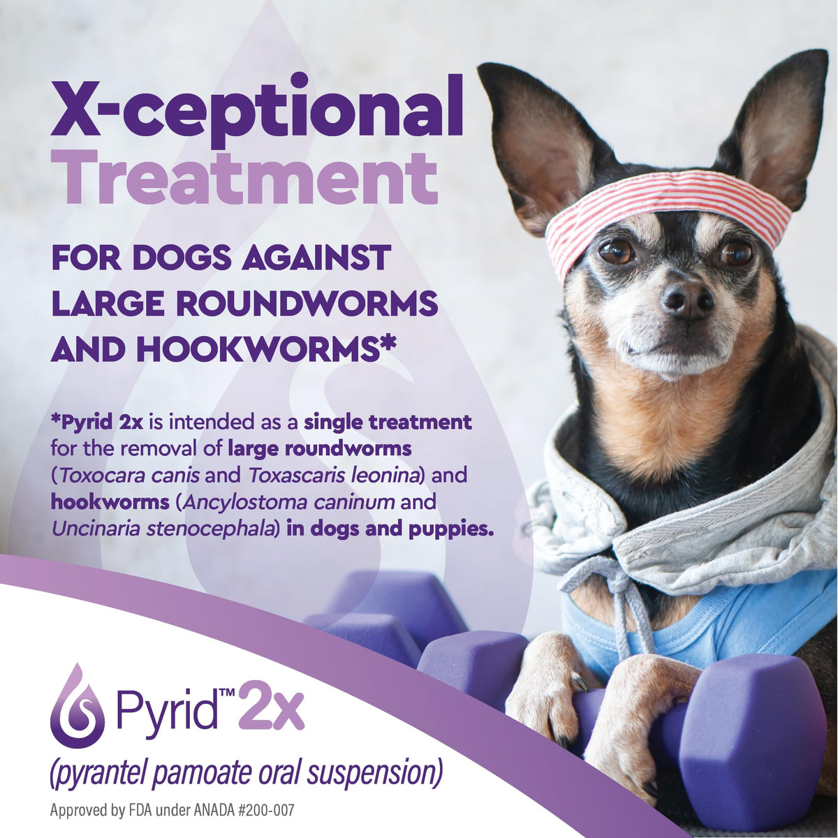 Pyrantel Pamoate Dog Dewormer 16 oz H6862