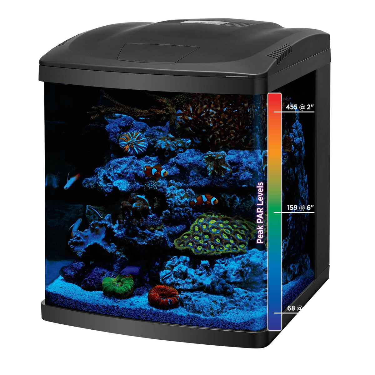 16 Gallon Aquarium Starter Kit I56524