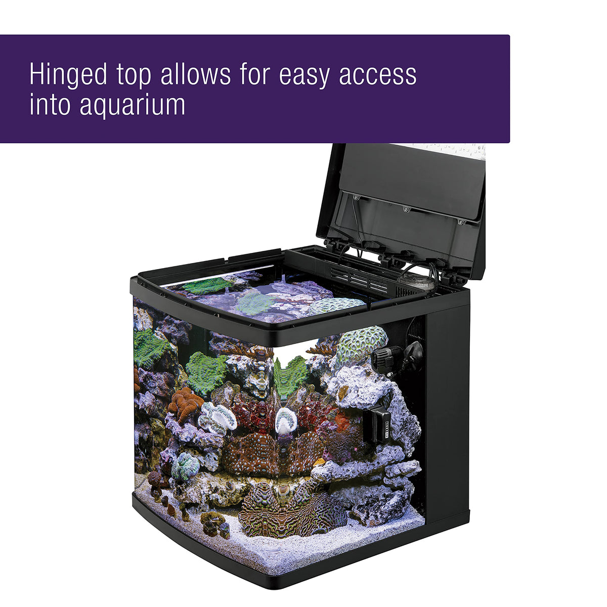16 Gallon Aquarium Starter Kit I56524