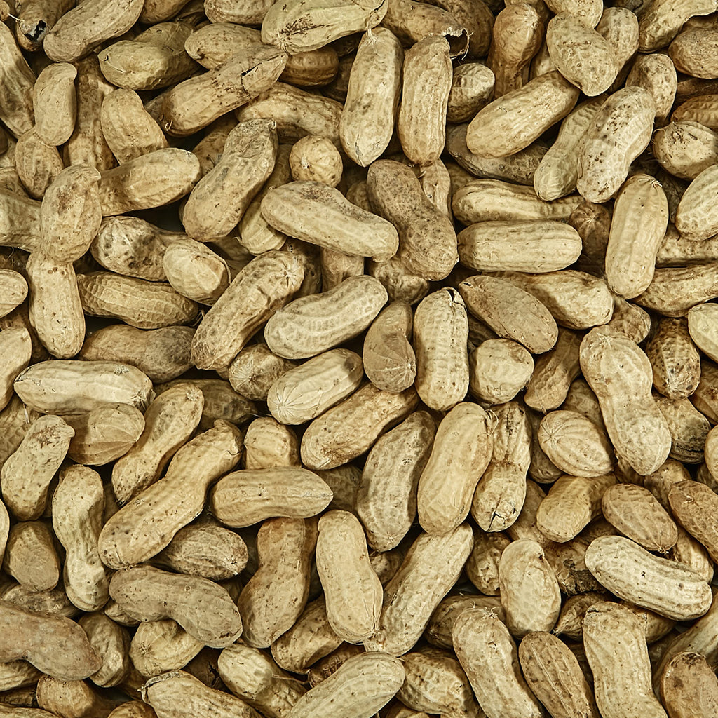 Whole Peanuts in Shell for Wild Birds, Two 5 Pound Bags X946
